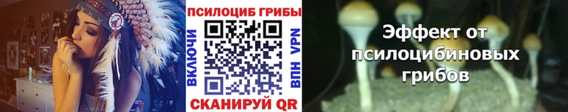 ОМГ ОМГ сайт Медвежьегорск Псилоцибиновые грибы прущие грибы купить цена